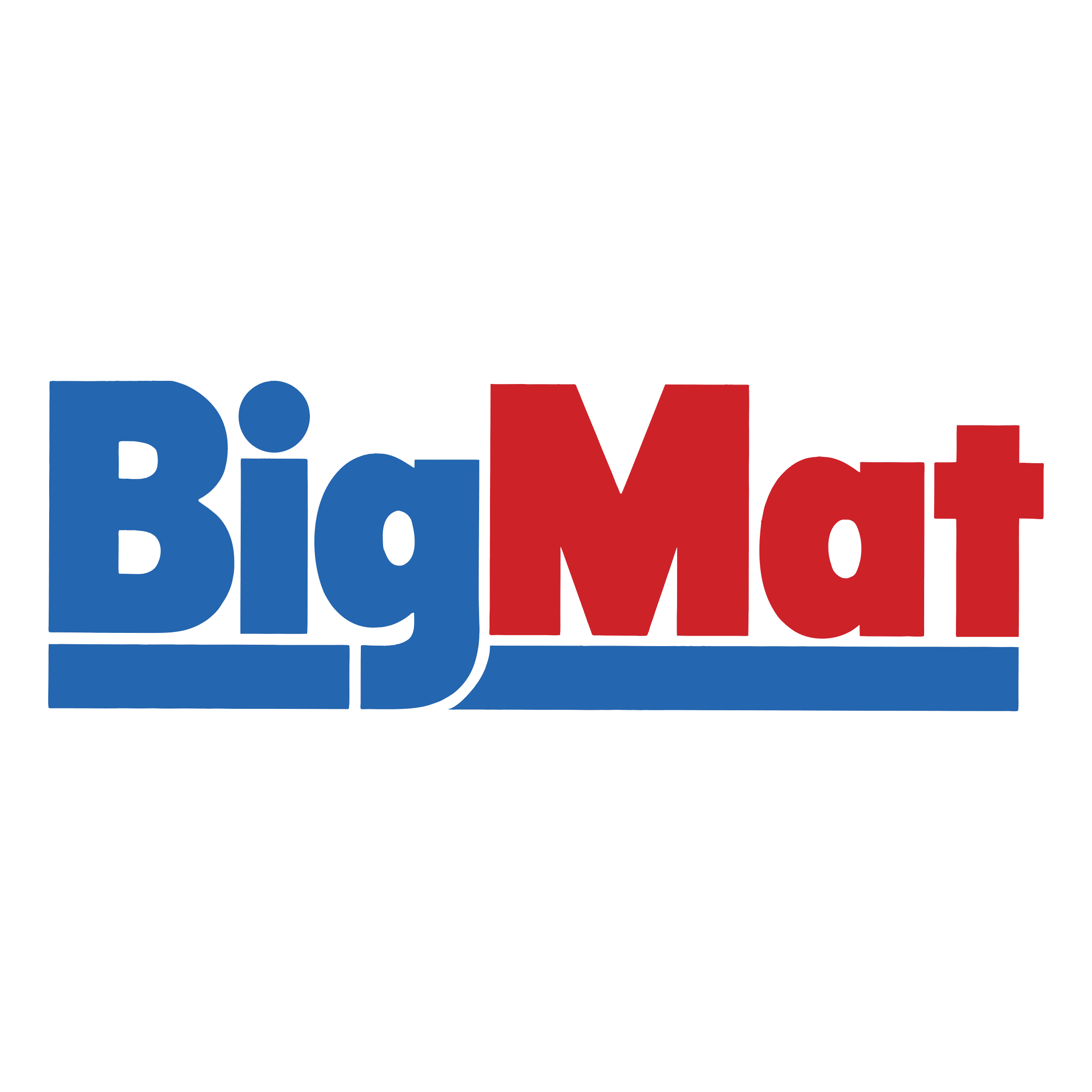 Logo Big Mat